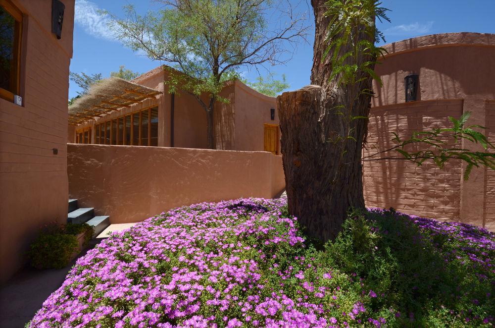 Hotel Pascual Andino San Pedro de Atacama Exterior photo